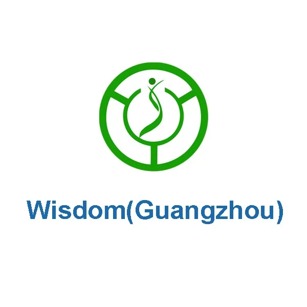 Wisdom (Guangzhou) company logo